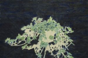 Wu Yiming