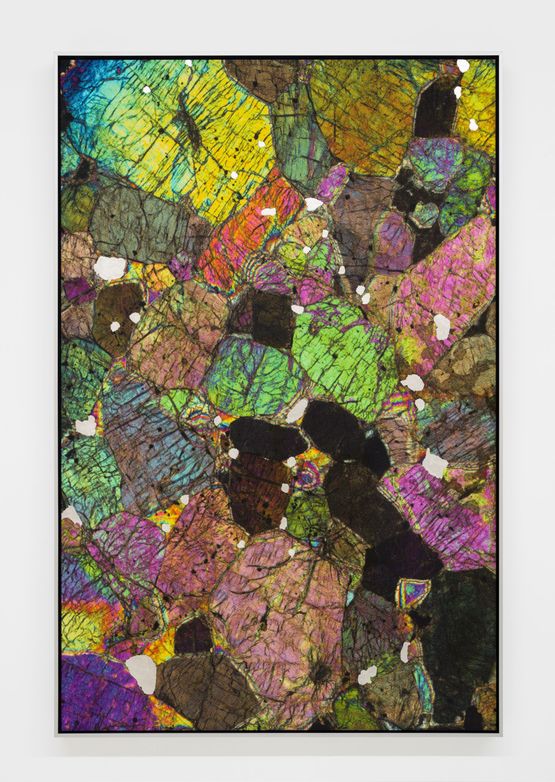 Untitled by Alice Wang contemporary artwork Print
