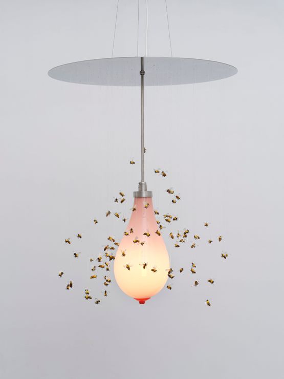 Hive seen you by Laure Prouvost contemporary artwork Sculpture