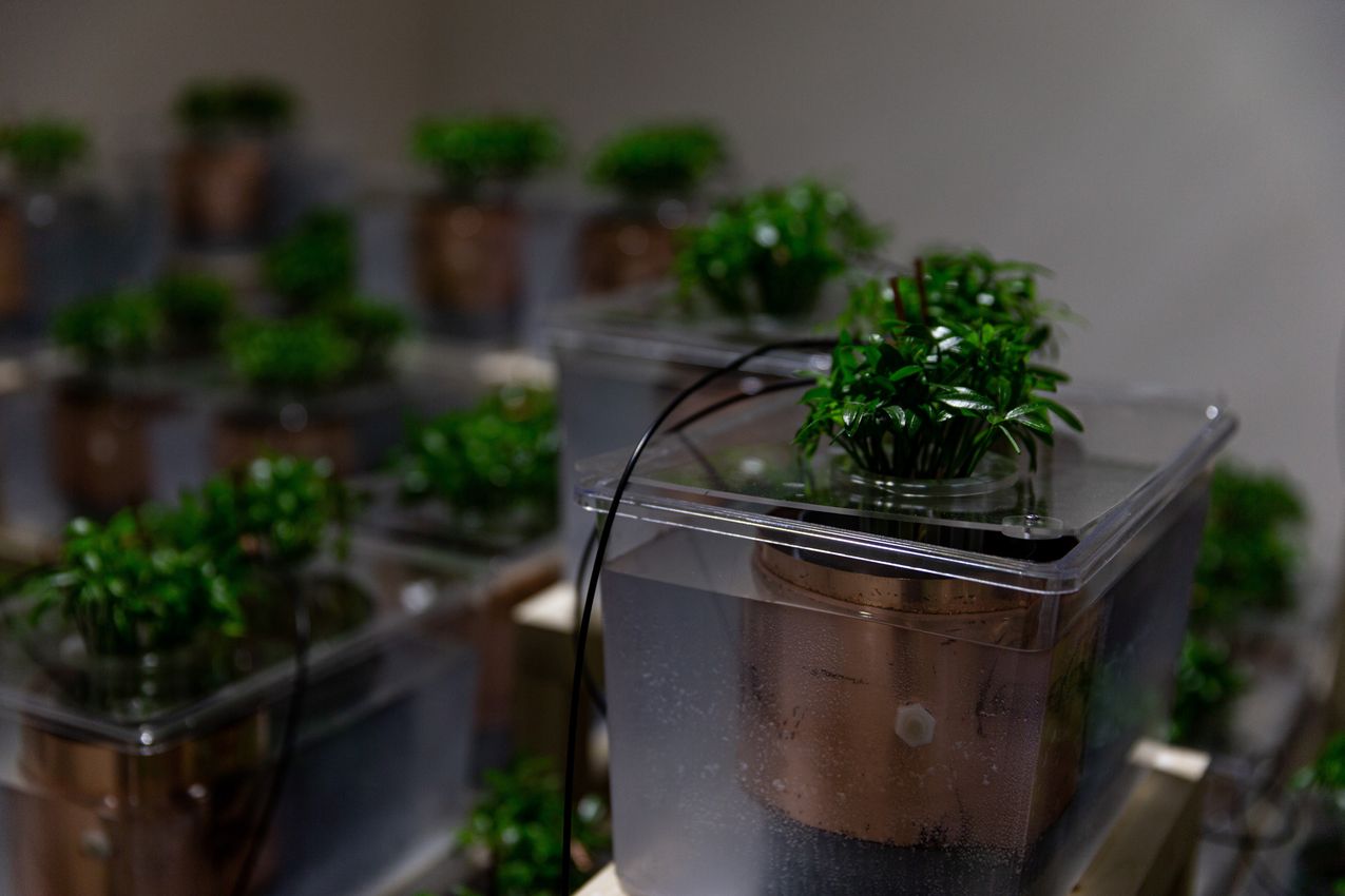 FABLAB DYNAMIC