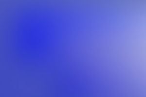 Leslie Hewitt