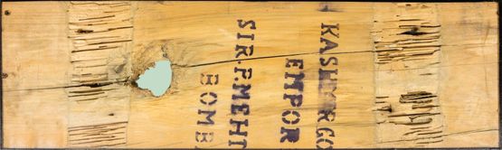 House Wood Borer by Robert Zhao Renhui contemporary artwork Photography