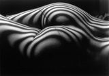 Nu zebre Arles 2009 by Lucien Clergue contemporary artwork photography
