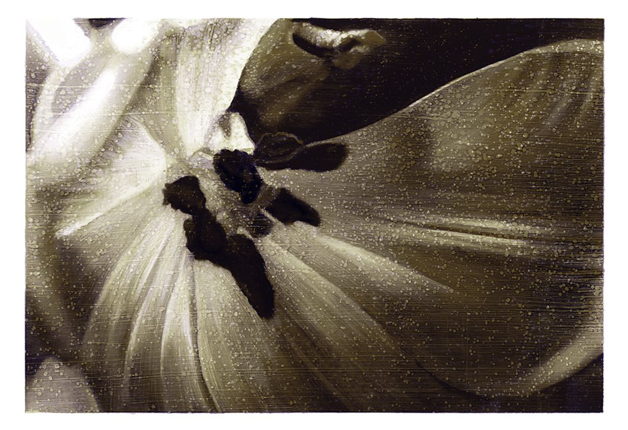 Tim Maguire