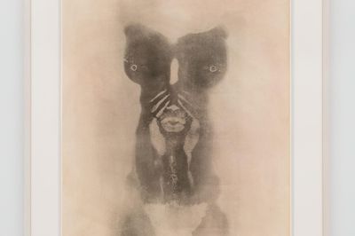 Frieze OVR HighlightsDavid Hammons