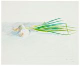 Onions by David Hockney contemporary artwork works on paper drawing