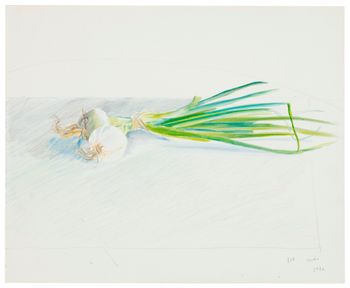 Onions by David Hockney contemporary artwork works on paper drawing