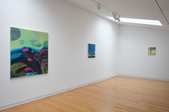 Contemporary art exhibition Fu-On Chung Talisman at Two Rooms Auckland New Zealand