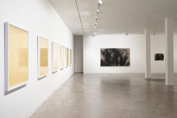 Contemporary art exhibition Peata Larkin Mama   Whenua at Two Rooms Auckland New Zealand