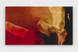 Content Aware by Elise Ansel contemporary artwork painting