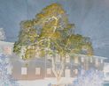 Purgatory 3rd Cornice by Tacita Dean contemporary artwork Works on Paper