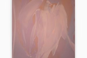 Juliette Paull