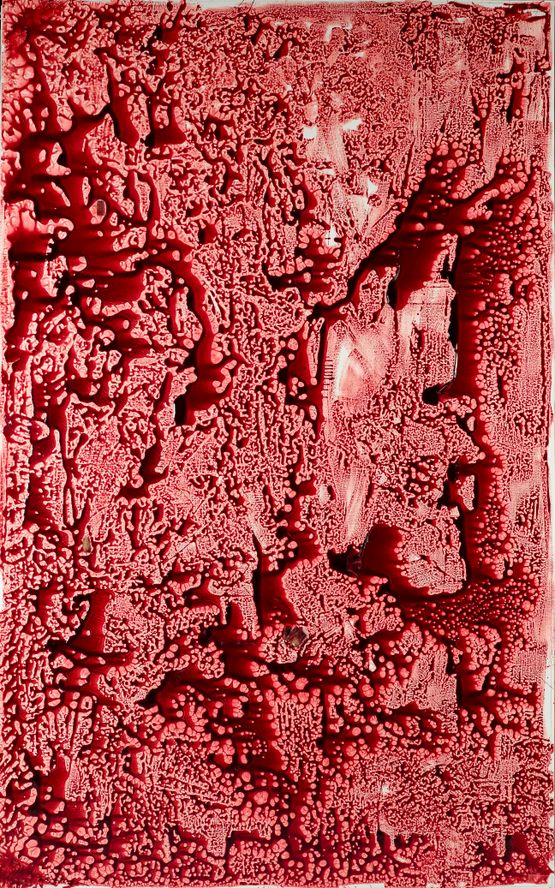 Forbidden Colours by Adel Abdessemed contemporary artwork Painting