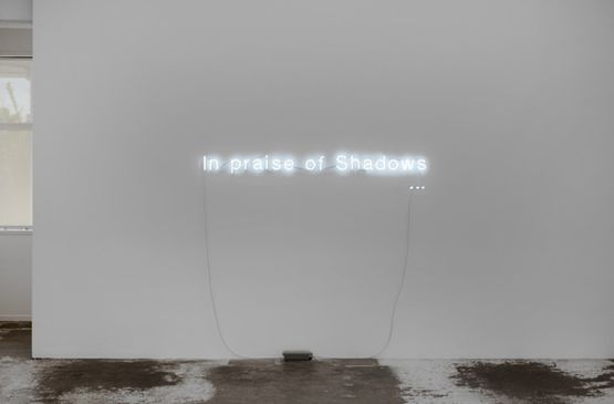 In praise of Shadows by Cerith Wyn Evans contemporary artwork Installation