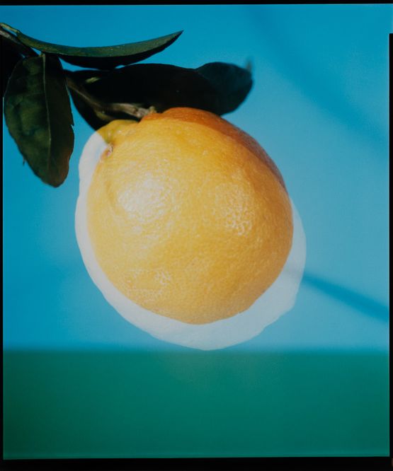 Bitter Orange by Joao Maria Gusmao contemporary artwork Photography