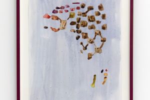 Judith Raum