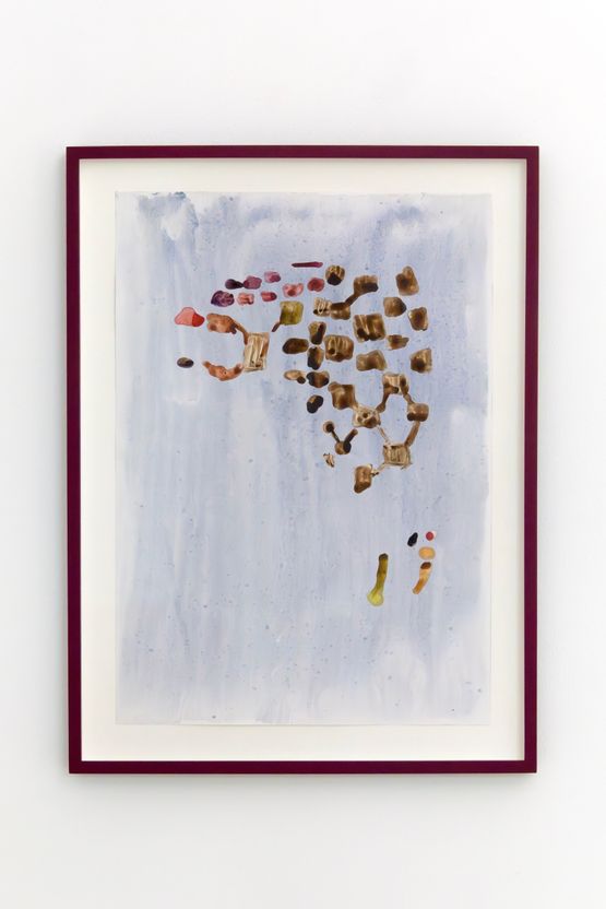 Untitled Fritillaria Meleagris I by Judith Raum contemporary artwork Works on Paper