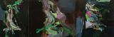 fireflies by Hollis Heichemer contemporary artwork painting