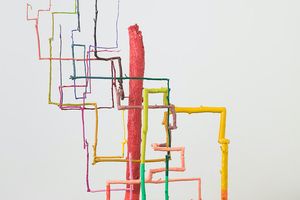 Evan Holloway