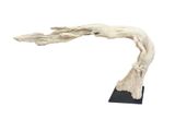 Untitled by Robert Oxnam contemporary artwork sculpture