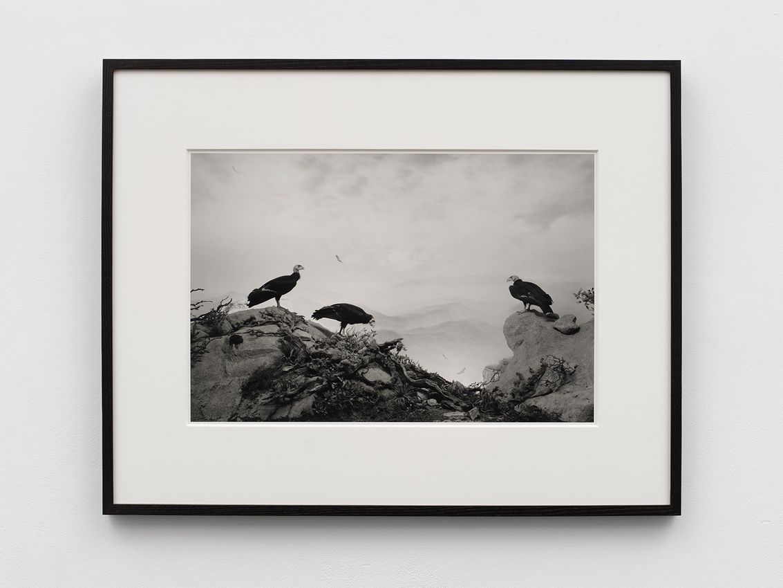 Hiroshi Sugimoto