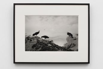 Contemporary art exhibition Hiroshi Sugimoto Hiroshi Sugimoto at Lisson Gallery 504 West 24th Street New York United States