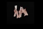 Lee Jinju contemporary artist