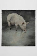 Pig by Jelena Telecki contemporary artwork painting