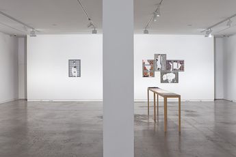 Contemporary art exhibition Julia Morison Omnium Gatherum at Two Rooms Auckland New Zealand