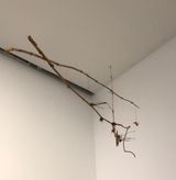 Untitled Precarios by Cecilia Vicuna contemporary artwork sculpture
