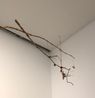 Untitled Precarios by Cecilia Vicuna contemporary artwork Sculpture
