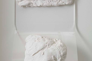 Rosemarie Trockel