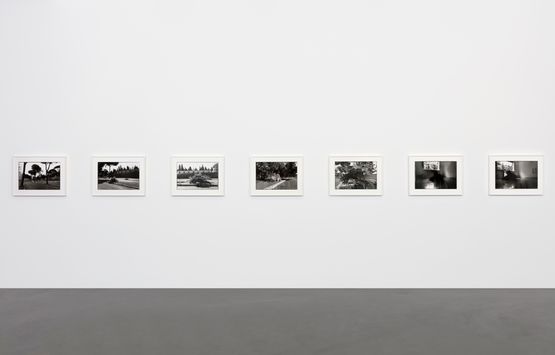 Ceppo Sradicato series of black and white photographs by Christoph Keller contemporary artwork Painting