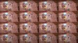 Swing by Neriman Polat contemporary artwork moving image