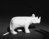 A Rino Labeled Gay 4 by Kanthy Peng contemporary artwork photography print