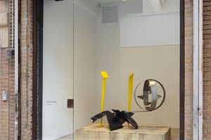 Paula Cooper Gallery contemporary art gallery in 529 W 21st Street New York United States