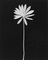 Untitled by The Estate Of Anwar Jalal Shemza contemporary artwork photography