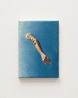 Disarm by Fiona Banner Aka The Vanity Press contemporary artwork Painting