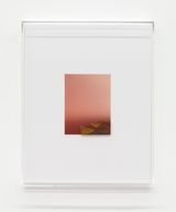 Untitled by Pieter Vermeersch contemporary artwork painting