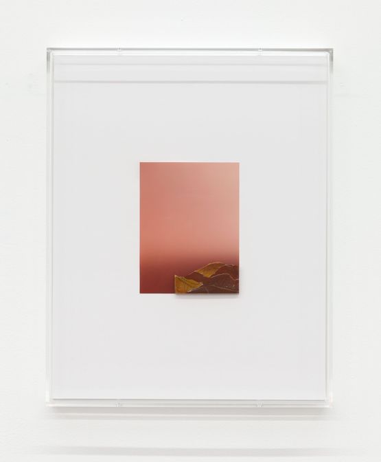 Untitled by Pieter Vermeersch contemporary artwork Painting