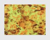 Nasturtiums TAM.1557 by Ruth Asawa contemporary artwork print works on paper