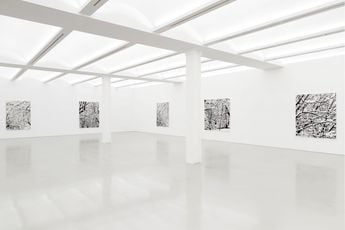 FARHAD MOSHIRI 写真集　PERROTIN Farhad Moshiri, 'Snow Forest' at Perrotin, New York, United States