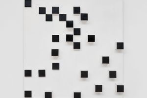 Lygia Pape