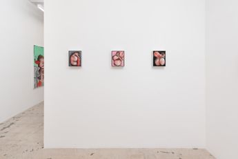 Contemporary art exhibition Amanda Wall Angel Food at Anat Ebgi Mid Wilshire United States