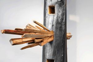 Group Exhibition