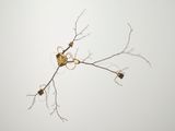 License 2 by Emeric Chantier contemporary artwork sculpture