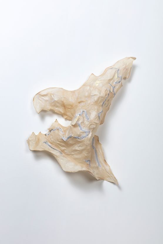 Ohkay Owingeh by Lynda Benglis contemporary artwork Painting