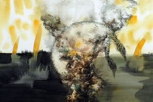 Cai Jiarui