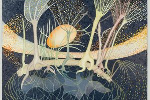 Ann Leda Shapiro