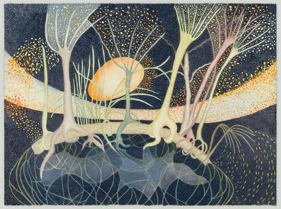 Nursery Log 2 by Ann Leda Shapiro contemporary artwork Works on Paper